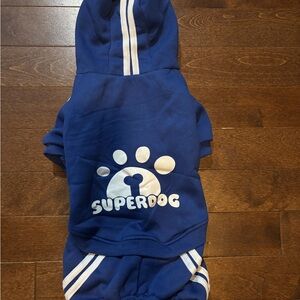 Blue Dog Hoodie with Stripes